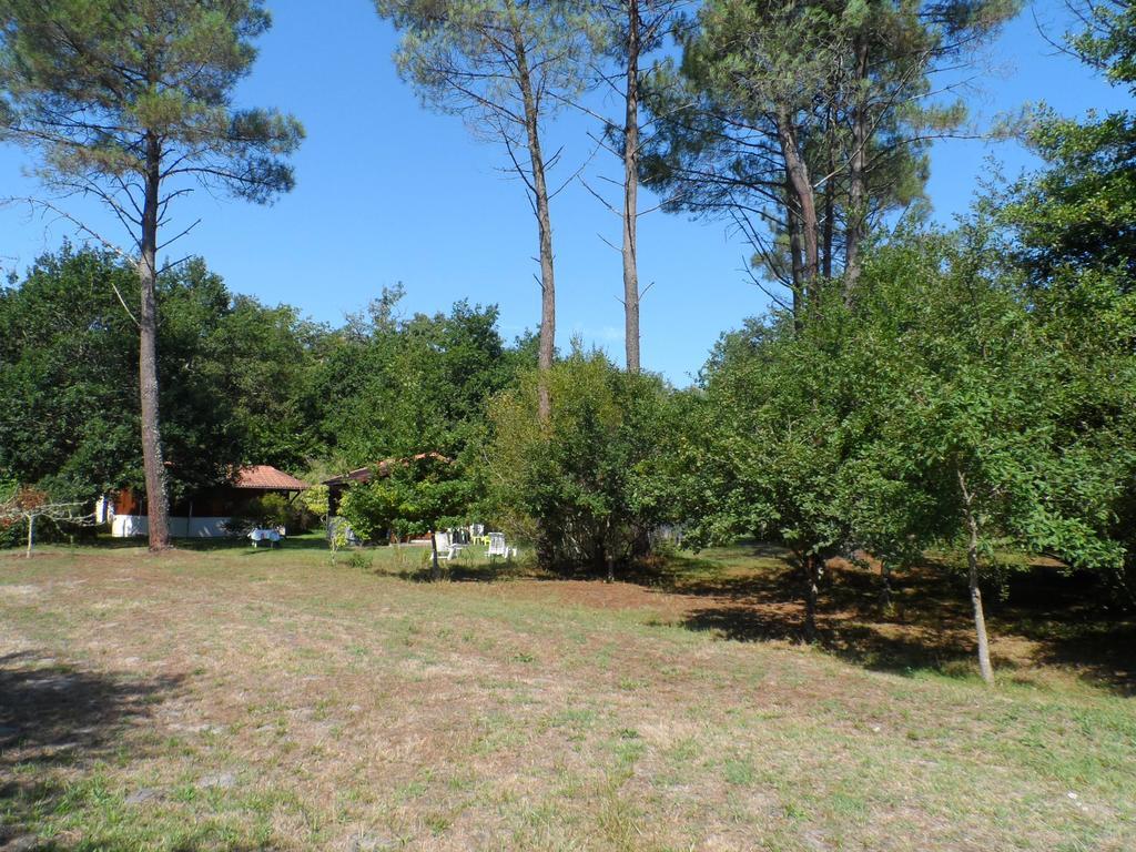 Les Chalets du Gélat, nature et calme Noaillan Exterior foto